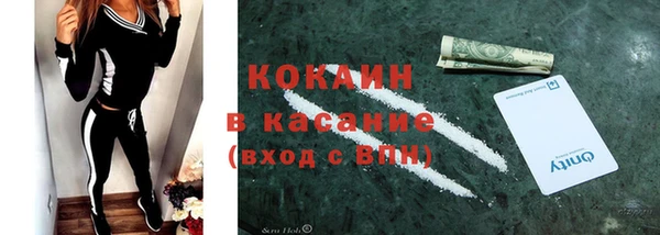 твердый Дмитровск