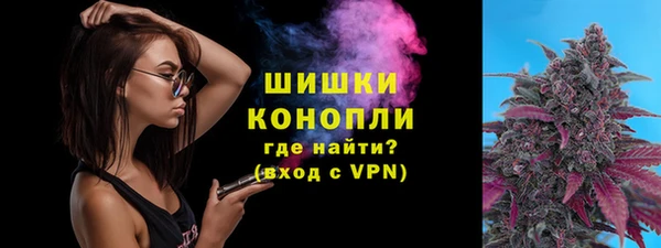 СК Дмитров