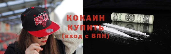 СК Дмитров