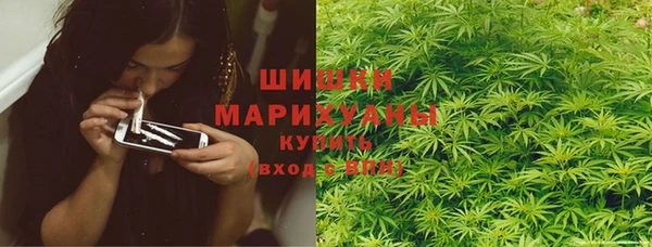 СК Дмитров