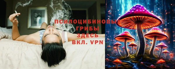 ГАЛЛЮЦИНОГЕННЫЕ ГРИБЫ Алексин