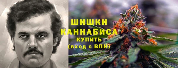 твердый Дмитриев