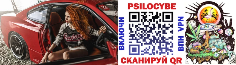 Псилоцибиновые грибы Psilocybine cubensis  Александровск 